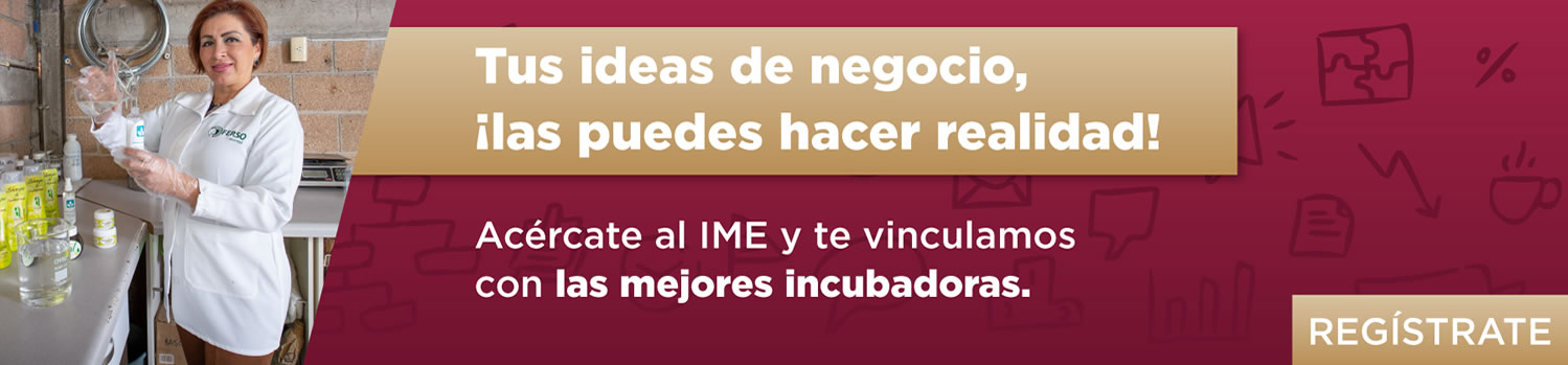 Incubadoras de negocios 2025