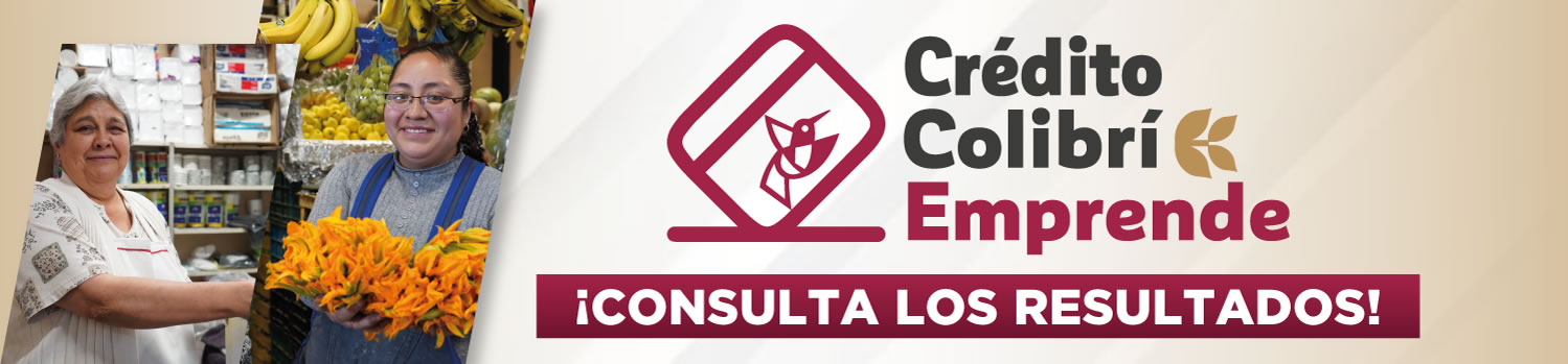 Beneficiarios Crédito Colibrí Emprende 2025