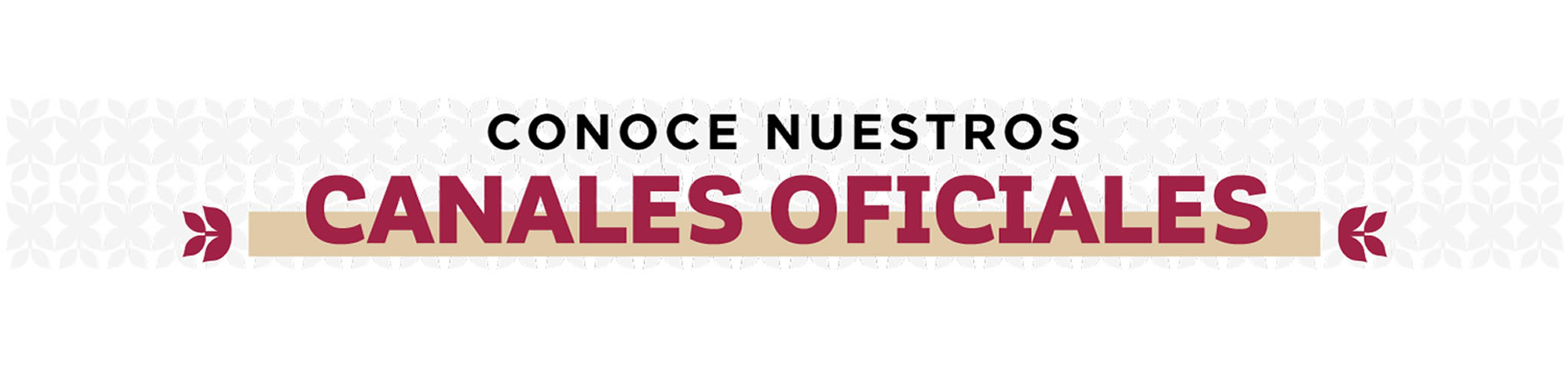 Canales oficiales de contacto con IME