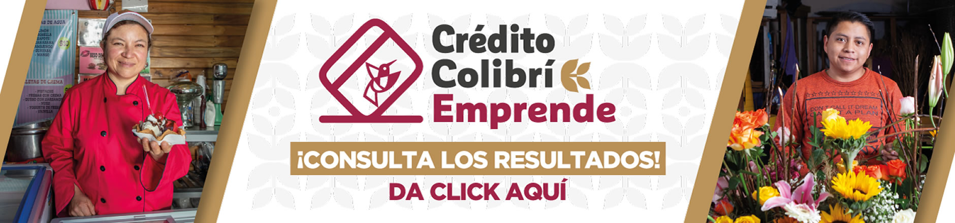 Resultados del programa "Crédito Colibrí Emprende" 2024 - 2aEd.