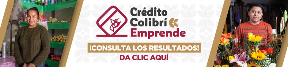 Resultados del programa "Crédito Colibrí Emprende" 2024 - CyD