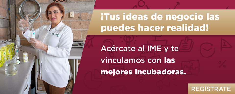 Incubadoras de negocios 2025